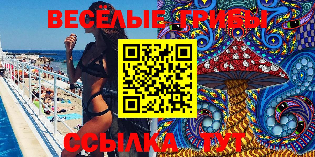 Новочебоксарск  хочу   Вход с VPN  Псилоцибиновые грибы мицелий 
