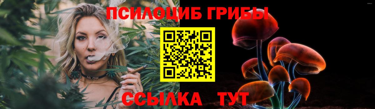 Галлюциногенные грибы GOLDEN TEACHER Новочебоксарск